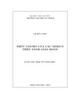 phức cousin của các môđun trên vành giao hoán