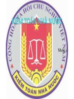 kiểm toán nhà nước việt nam