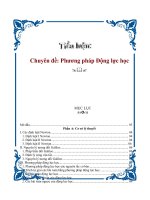 tiểu luận phương pháp động lực học chất điểm