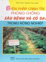 Biện pháp canh tác phòng chống sâu bệnh và cỏ dại trong nông nghiệp