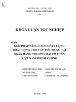 giải pháp nâng cao chất lượng hoạt động cho vay tiêu dùng tại ngân hàng thương mại cổ phần việt nam thịnh vượng