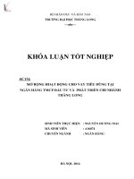 mở rộng hoạt động cho vay tiêu dùng tại ngân hàng tmcp đầu tư và phát triển chi nhánh thăng long