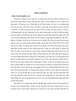 Nghiên cứu các yếu tố ảnh hưởng thu hút dòng vốn đầu tư trực tiếp nước ngoài vào việt nam