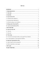 Việc sử dụng vốn FDI và phát triển đầu tư ra nước ngoài của Việt Nam