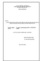 xây dựng nội dung huấn luyện thể lực chuyên môn cho vđv đẩy tạ  trong năm thứ nhất giai đoạn chuyên môn hoá sâu