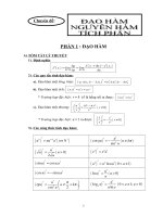 Chuyên đề tích phân ôn thi ĐH