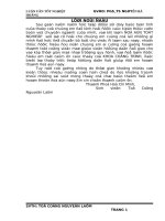 ĐỒ ÁN TỐT NGHIỆP KỸ SƯ XÂY DỰNG CẦU ĐƯỜNG THIẾT KẾ CẦU DẦM LIÊN TỤC ĐÚC HẪNG