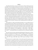 Ước lượng và tính xác suất thiệt hại trong một số mô hình bảo hiểm (tt)