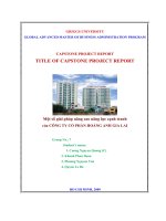 Một số giải pháp nâng cao năng lực cạnh tranh  của CÔNG TY CỔ PHẦN HOÀNG ANH GIA LAI