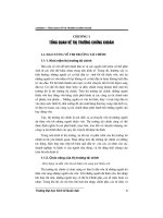 Tổng quan thị trường chứng khoán