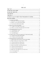 GIẢI PHÁP HOÀN THIỆN TÌNH HÌNH TÀI CHÍNH CÔNG TY CỔ PHẦN XÂY DỰNG HANEL