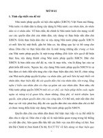 Thực hiện pháp luật về dân chủ ở cấp xã theo yêu cầu xây dựng nhà nước pháp quyền xã hội chủ nghĩa việt nam (tt)