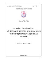 Nghiên cứu lâm sàng và hiệu quả điều trị suy giảm nhận thức ở bệnh nhân loạn thần do rượu