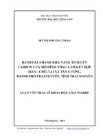 đánh giá nhanh khả năng tích lũy carbon của mô hình nông lâm kết hợp (keo-chè) tại xã tân cương, thành phố thái nguyên, tỉnh thái nguyên