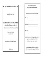 CẤU TRÚC xã hội của cư dân LÀNG NGHỀ ĐỒNG BẰNG SÔNG HỒNG HIỆN NAY (nghiên cứu trường hợp hai làng nghề ở huyện thường tín, thành phố hà nội) (tt)