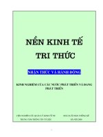 Nền kinh tế tri thức:  Nhận thức và hành động  kinh nghiệm của các nước phát triển và đang phát triển