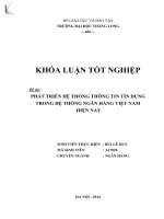 phát triển hệ thống thông tin tín dụng trong hệ thống ngân hàng tại việt nam hiện nay