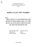 thực trạng và giải pháp hạn chế rủi ro từ hoạt động cho vay tiêu dùng tại ngân hàng tmcp sài gòn - hà nội chi nhánh hà nội