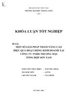 một số giải pháp nhằm nâng cao hiệu quả hoạt động kinh doanh tại công ty tnhh thương mại tổng hợp sơn nam