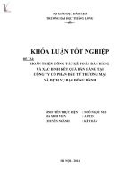 hoàn thiện công tác kế toán bán hàng và xác định kết quả bán hàng tại công ty cổ phần đầu tư thương mại và dịch vụ bạn đồng hành