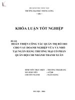 hoàn thiện công tác quản trị rủi ro cho vay doanh nghiệp vừa và nhỏ tại ngân hàng thương mại cổ phần quân đội chi nhánh thanh xuân