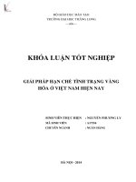 giải pháp hạn chế tình trạng vàng hóa ở việt nam hiện nay