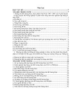 Bảng cân đối lương thực thực phẩm việt Nam