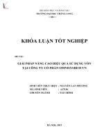 giải pháp nâng cao hiệu quả sử dụng vốn tại công ty cổ phần omnisysrem việt nam