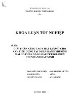 giải pháp nâng cao chất lượng cho vay tiêu dùng tại ngân hàng thương mại cổ phần xăng dầu petrolimex chi nhánh bắc ninh