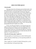 Báo cáo tổng quan lý thuyết đề tài: sự hài lòng của khách hàng tại ngân hàng Agribank