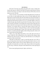 Báo cáo tổng hợp về việc tổ chức quản lý kế toán của công ty TNHH Mỹ A