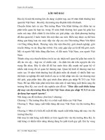 thúc đẩy xuất khẩu hàng dệt may vào thị trường hoa kỳ khi việt nam chưa gia nhập w.t.o và còn áp dụng hạn ngạch