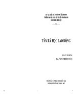 Tâm lý học lao động PGS TS Võ Hưng