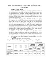 Phân tích tình hình tài chính của công ty cổ phần may Sông Hồng_Tiểu luận