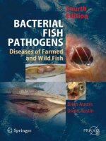 Vi khuẩn Fish Pathogens Bệnh của cá nuôi và hoang dã  Brian Austin, DA Austin 4th Edition, 2007