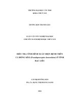 Điều tra tình hình xuất hiện bệnh trên cá bống kèo (pseudapocryptes lanceolatus) ở tỉnh bạc liêu