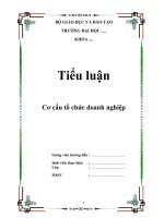 tiểu luận cơ cấu tổ chức doanh nghiệp
