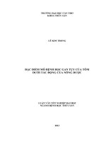 Đặc điểm mô bệnh học gan tụy của tôm dưới tác động của nông dược