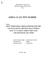 phát triển hoạt động kinh doanh thẻ tại ngân hàng thương mại cổ phần đầu tư và phát triển việt nam chi nhánh quảng ninh