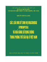 các loại ong kí sinh họ braconidae (hymenoptera) và khả năng sử dụng chúng trong phòng trừ sâu hại ở việt nam