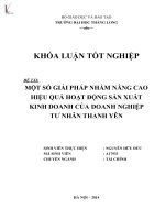 một số giải pháp nhằm nâng cao hiệu quả hoạt động sản xuất kinh doanh cảu doanh nghiệp tư nhân thanh yên