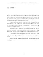 Các lớp toán tử mờ có ngưỡng và chương trình fuzzy rules miner_báo cáo thực tập tốt nghiệp