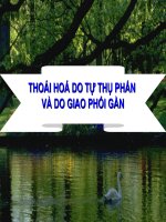 giáo án bồi dưỡng tham khảo thao giảng, thi giáo viên giỏi môn sinh học lớp 9 bài 34 thoái hoá do tự thụ phấn và giao phối gần (17)