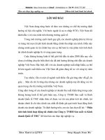 Phân tích tình hình hoạt động tài chính của Công ty TNHH Sản xuất và Kinh doanh Quốc tế TMC