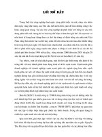 thực trạng và giải pháp nhằm nâng cao khả năng cạnh tranh của công ty tnhh seiyu