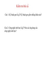 giáo án bồi dưỡng tham khảo thao giảng, thi giáo viên giỏi môn sinh học lớp 9 bài 34 thoái hoá do tự thụ phấn và giao phối gần (5)