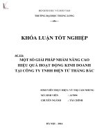 một số giải pháp nhằm nâng cao hiệu quả hoạt động kinh doanh tại công ty tnhh điện tử thắng bắc