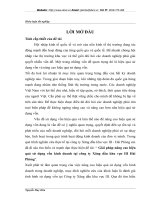 các giải pháp nhằm nâng cao hiệu quả sử dụng vốn kinh doanh của công ty xăng dầu khu vực iii – hải p