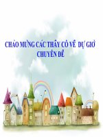 giáo án bồi dưỡng tham khảo thao giảng, thi giáo viên giỏi môn sinh học lớp 9 bài 34 thoái hoá do tự thụ phấn và giao phối gần (14)