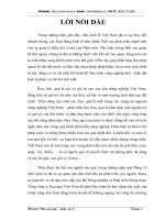 Thực trạng và giải pháp nhằm nâng cao hiệu quả tổ chức hoạt động Marketing sản phẩm xuất khẩu của Tổng công ty Rau quả Việt Nam sang thị trường Liên Bang Nga